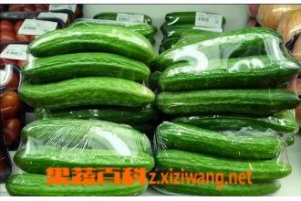 今日小乳瓜价格,市场行情一览”