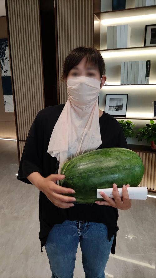 热门大瓜今日大瓜91,揭秘热门事件背后的真相与内幕