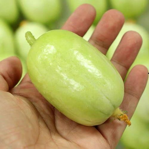 今日山东小瓜价格