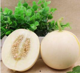 今日山东小瓜价格