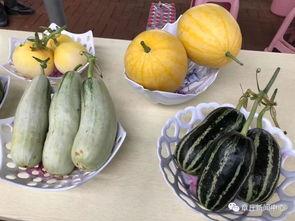 629今日吃瓜,揭秘娱乐圈最新热点事件