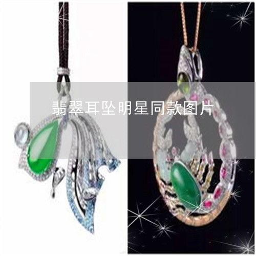 明星网红同款耳坠图片,时尚潮流新选择