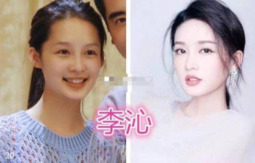 明星网红区别对比图,形象塑造与传播方式的对比解析