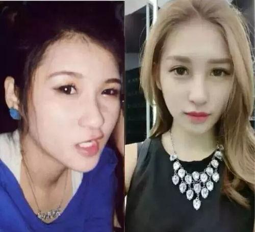 明星网红区别对比图,形象塑造与传播方式的对比解析