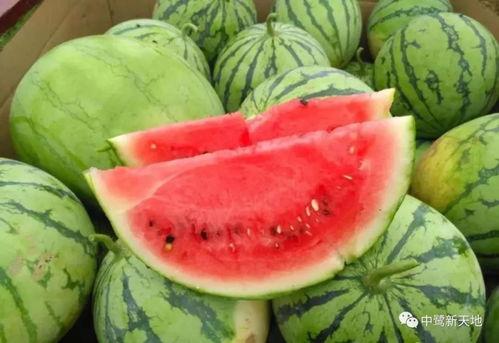 51爆料吃瓜今日吃瓜热门大瓜,今日热门大瓜，揭秘娱乐圈惊人内幕！