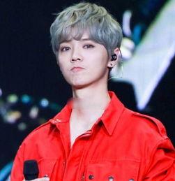 娱乐圈吃瓜情报站鹿晗